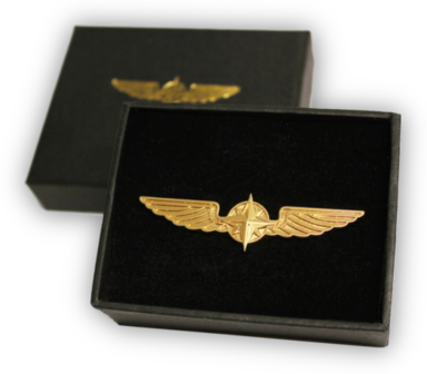 Pilot Wings Gold Pin