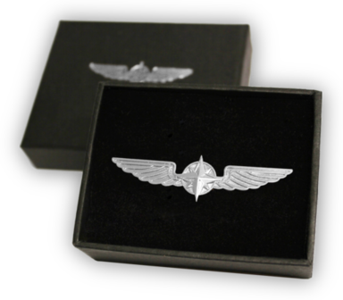 Pilot Wings Silver pin