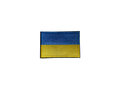 Badge flag Ukraine